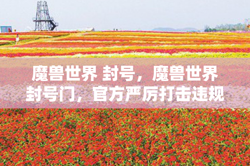 魔兽世界 封号,魔兽世界封号门,官方严厉打击违规行为的背后 魔兽世界 封号,魔兽世界封号门,官方严厉打击违规行为的背后