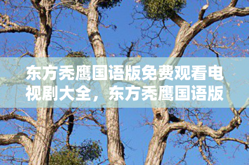 东方秃鹰国语版免费观看电视剧大全,东方秃鹰国语版,经典港片的粤语魅力与独特韵味 东方秃鹰国语版免费观看电视剧大全,东方秃鹰国语版,经典港片的粤语魅力与独特韵味
