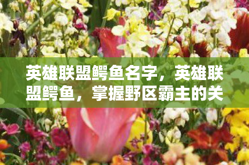 英雄联盟鳄鱼名字,英雄联盟鳄鱼,掌握野区霸主的关键技巧 英雄联盟鳄鱼名字,英雄联盟鳄鱼,掌握野区霸主的关键技巧