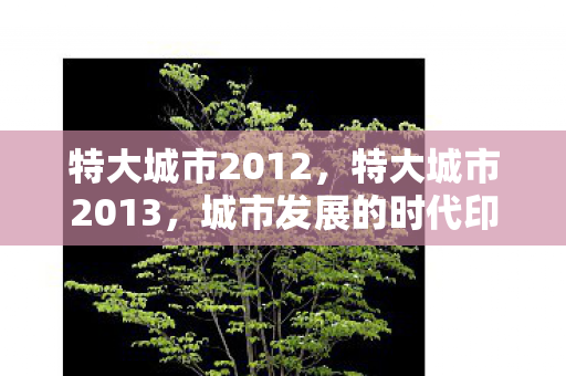 特大城市2012，特大城市2013，城市发展的时代印记与未来展望
