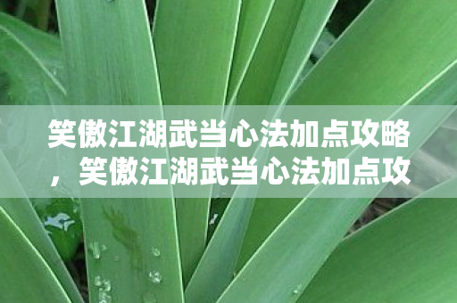 笑傲江湖武当心法加点攻略，笑傲江湖武当心法加点攻略，打造无敌武当，纵横江湖