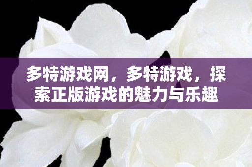 多特游戏网，多特游戏，探索正版游戏的魅力与乐趣