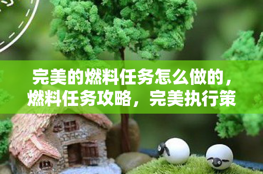 完美的燃料任务怎么做的，燃料任务攻略，完美执行策略