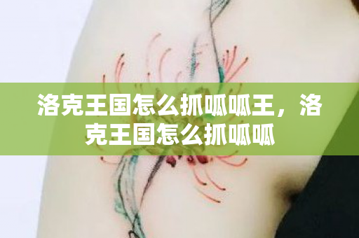 洛克王国怎么抓呱呱王,洛克王国怎么抓呱呱 洛克王国怎么抓呱呱王,洛克王国怎么抓呱呱