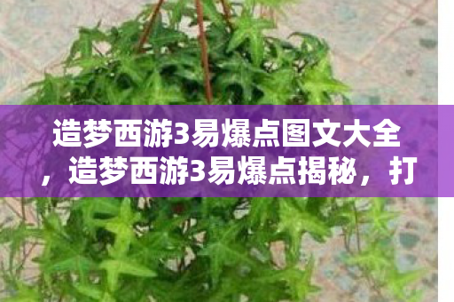 造梦西游3易爆点图文大全,造梦西游3易爆点揭秘,打造高效游戏攻略 造梦西游3易爆点图文大全,造梦西游3易爆点揭秘,打造高效游戏攻略