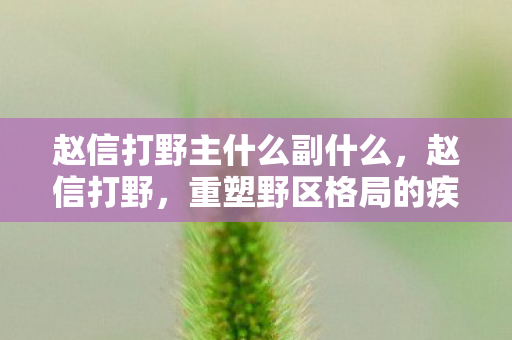 赵信打野主什么副什么,赵信打野,重塑野区格局的疾风枪神 赵信打野主什么副什么,赵信打野,重塑野区格局的疾风枪神