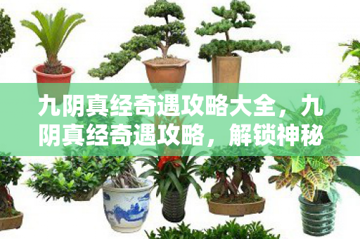 九阴真经奇遇攻略大全,九阴真经奇遇攻略,解锁神秘奇遇,探索江湖奇缘 九阴真经奇遇攻略大全,九阴真经奇遇攻略,解锁神秘奇遇,探索江湖奇缘