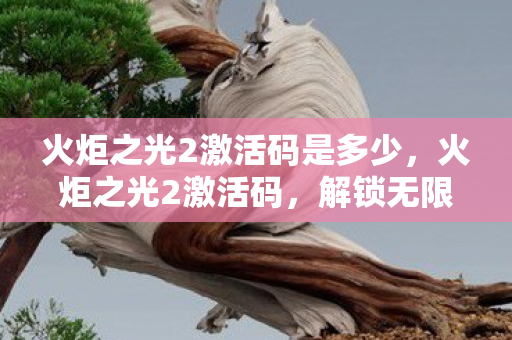 火炬之光2激活码是多少,火炬之光2激活码,解锁无限可能的神秘钥匙 火炬之光2激活码是多少,火炬之光2激活码,解锁无限可能的神秘钥匙