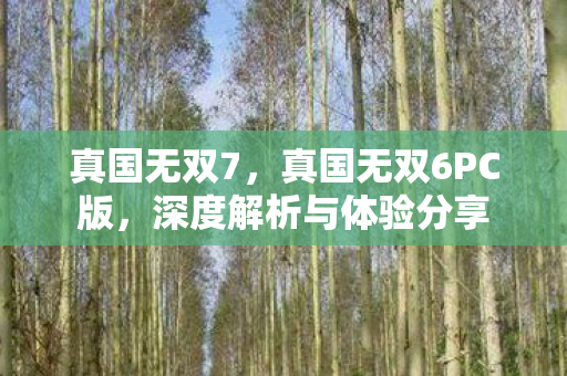 真国无双7,真国无双6PC版,深度解析与体验分享 真国无双7,真国无双6PC版,深度解析与体验分享
