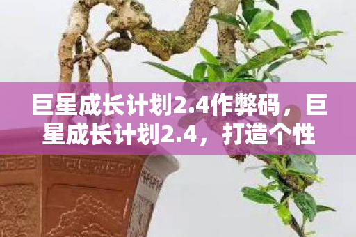 巨星成长计划2.4作弊码,巨星成长计划2.4,打造个性化巨星之路 巨星成长计划2.4作弊码,巨星成长计划2.4,打造个性化巨星之路