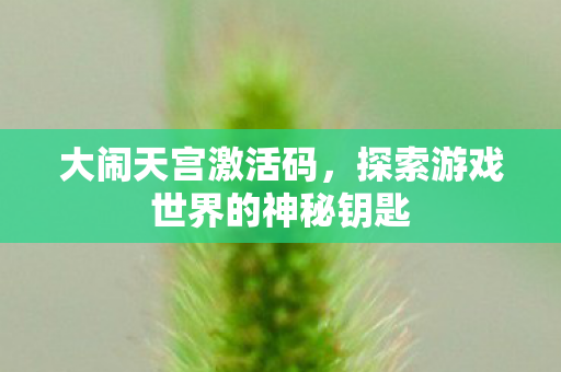 大闹天宫激活码,探索游戏世界的神秘钥匙 大闹天宫激活码,探索游戏世界的神秘钥匙