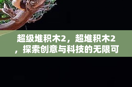 超级堆积木2，超堆积木2，探索创意与科技的无限可能