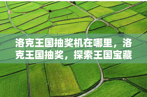 洛克王国抽奖机在哪里，洛克王国抽奖，探索王国宝藏，惊喜连连！