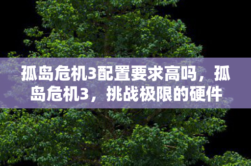 孤岛危机3配置要求高吗，孤岛危机3，挑战极限的硬件配置需求