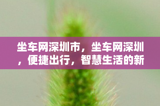 坐车网深圳市,坐车网深圳,便捷出行,智慧生活的新篇章 坐车网深圳市,坐车网深圳,便捷出行,智慧生活的新篇章