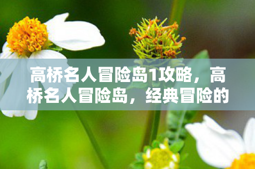 高桥名人冒险岛1攻略,高桥名人冒险岛,经典冒险的通关秘籍 高桥名人冒险岛1攻略,高桥名人冒险岛,经典冒险的通关秘籍
