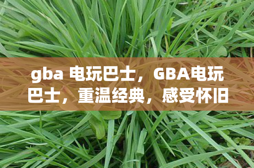 gba 电玩巴士,GBA电玩巴士,重温经典,感受怀旧游戏的魅力 gba 电玩巴士,GBA电玩巴士,重温经典,感受怀旧游戏的魅力