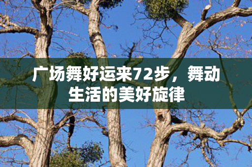 广场舞好运来72步,舞动生活的美好旋律 广场舞好运来72步,舞动生活的美好旋律