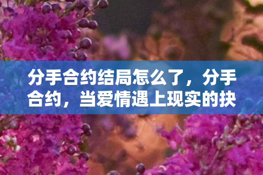 分手合约结局怎么了,分手合约,当爱情遇上现实的抉择 分手合约结局怎么了,分手合约,当爱情遇上现实的抉择