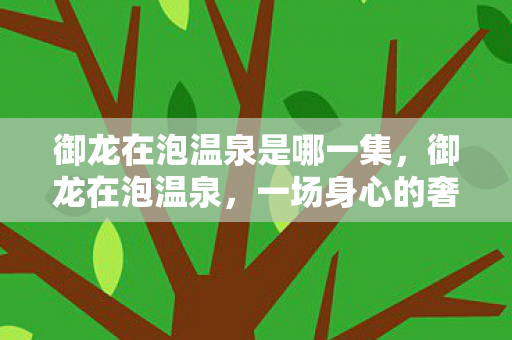 御龙在泡温泉是哪一集,御龙在泡温泉,一场身心的奢华之旅 御龙在泡温泉是哪一集,御龙在泡温泉,一场身心的奢华之旅