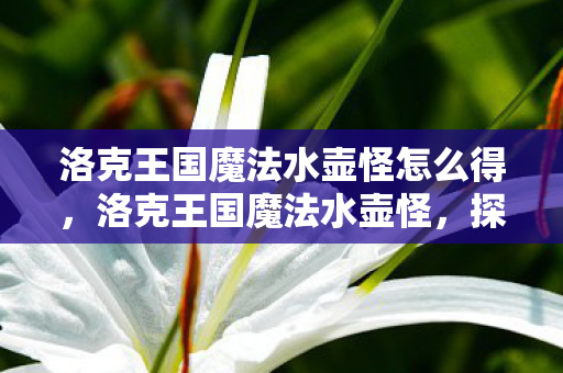 洛克王国魔法水壶怪怎么得,洛克王国魔法水壶怪,探索奇幻世界的奇妙之旅 洛克王国魔法水壶怪怎么得,洛克王国魔法水壶怪,探索奇幻世界的奇妙之旅
