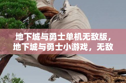 地下城与勇士单机无敌版，地下城与勇士小游戏，无敌版体验与乐趣分享