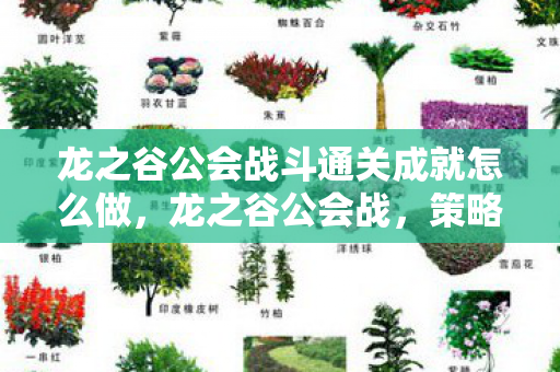 龙之谷公会战斗通关成就怎么做，龙之谷公会战，策略与荣耀的较量