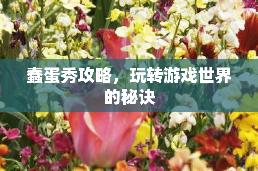 蠢蛋秀攻略，玩转游戏世界的秘诀
