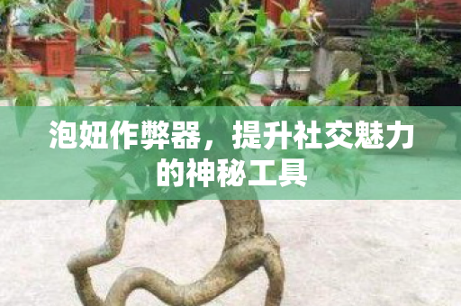 泡妞作弊器,提升社交魅力的神秘工具 泡妞作弊器,提升社交魅力的神秘工具