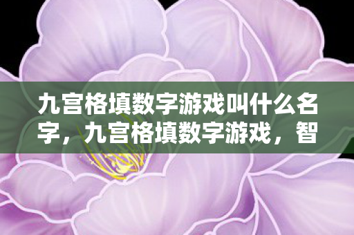 九宫格填数字游戏叫什么名字，九宫格填数字游戏，智慧与策略的巧妙结合