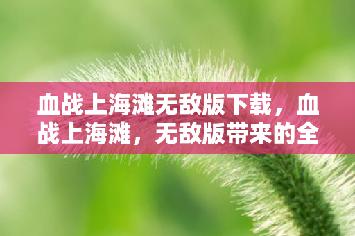 血战上海滩无敌版下载,血战上海滩,无敌版带来的全新游戏体验 血战上海滩无敌版下载,血战上海滩,无敌版带来的全新游戏体验