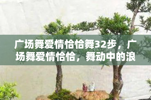 广场舞爱情恰恰舞32步,广场舞爱情恰恰,舞动中的浪漫邂逅 广场舞爱情恰恰舞32步,广场舞爱情恰恰,舞动中的浪漫邂逅