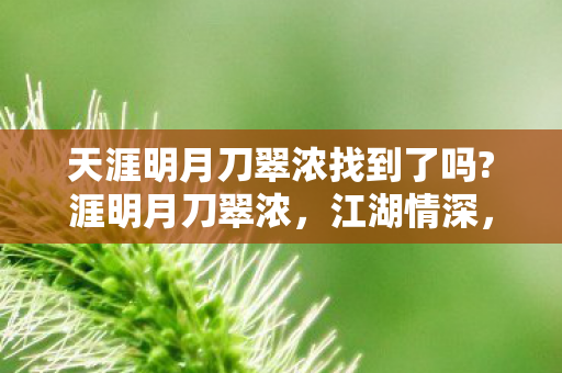 天涯明月刀翠浓找到了吗?涯明月刀翠浓，江湖情深，剑指天涯