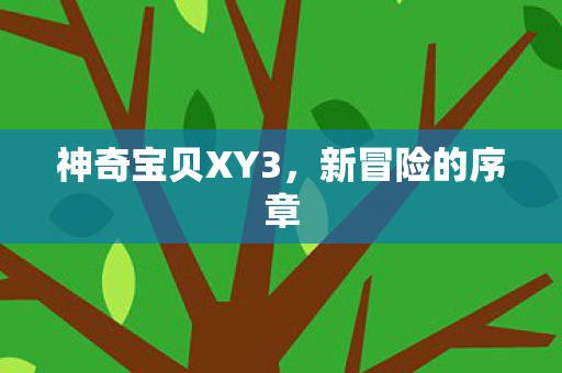 神奇宝贝XY3,新冒险的序章 神奇宝贝XY3,新冒险的序章