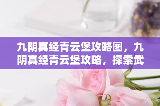 九阴真经青云堡攻略图,九阴真经青云堡攻略,探索武侠世界的秘境 九阴真经青云堡攻略图,九阴真经青云堡攻略,探索武侠世界的秘境