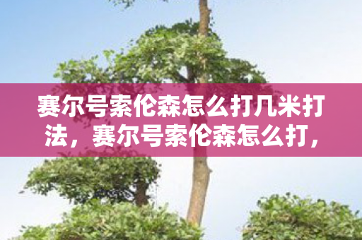 赛尔号索伦森怎么打几米打法,赛尔号索伦森怎么打,策略与技巧 赛尔号索伦森怎么打几米打法,赛尔号索伦森怎么打,策略与技巧