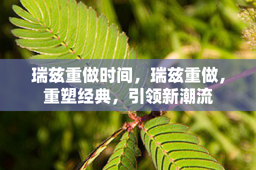 瑞兹重做时间,瑞兹重做,重塑经典,引领新潮流 瑞兹重做时间,瑞兹重做,重塑经典,引领新潮流