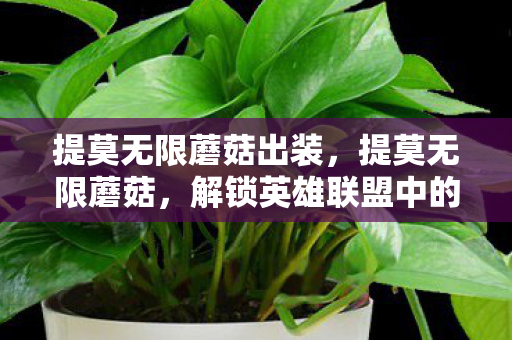 提莫无限蘑菇出装,提莫无限蘑菇,解锁英雄联盟中的神秘宝藏 提莫无限蘑菇出装,提莫无限蘑菇,解锁英雄联盟中的神秘宝藏