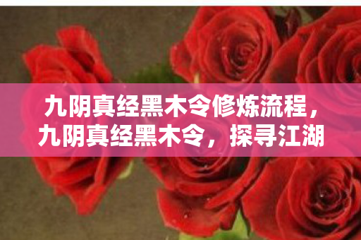 九阴真经黑木令修炼流程,九阴真经黑木令,探寻江湖中的神秘令牌 九阴真经黑木令修炼流程,九阴真经黑木令,探寻江湖中的神秘令牌