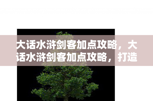 大话水浒剑客加点攻略,大话水浒剑客加点攻略,打造最强剑客,驰骋江湖 大话水浒剑客加点攻略,大话水浒剑客加点攻略,打造最强剑客,驰骋江湖