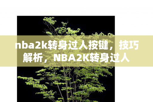 nba2k转身过人按键,技巧解析,NBA2K转身过人 nba2k转身过人按键,技巧解析,NBA2K转身过人