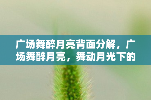 广场舞醉月亮背面分解,广场舞醉月亮,舞动月光下的欢乐与和谐 广场舞醉月亮背面分解,广场舞醉月亮,舞动月光下的欢乐与和谐
