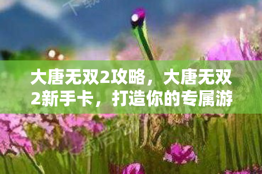 大唐无双2攻略,大唐无双2新手卡,打造你的专属游戏之旅 大唐无双2攻略,大唐无双2新手卡,打造你的专属游戏之旅