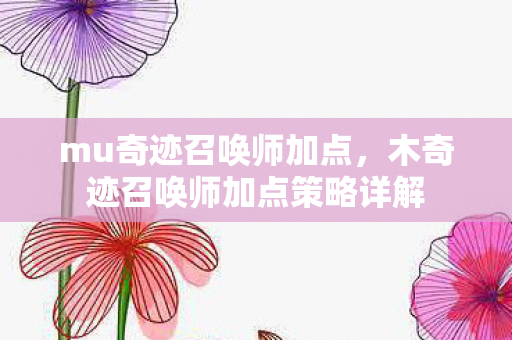mu奇迹召唤师加点,木奇迹召唤师加点策略详解 mu奇迹召唤师加点,木奇迹召唤师加点策略详解