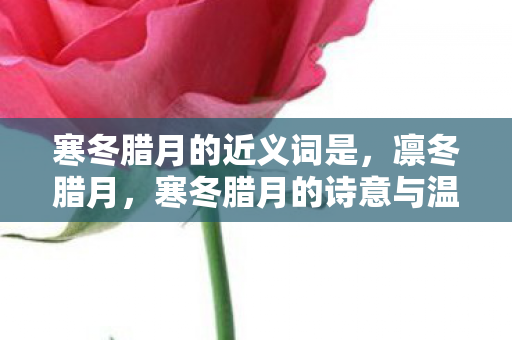 寒冬腊月的近义词是,凛冬腊月,寒冬腊月的诗意与温情 寒冬腊月的近义词是,凛冬腊月,寒冬腊月的诗意与温情