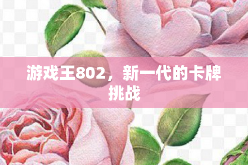 游戏王802,新一代的卡牌挑战 游戏王802,新一代的卡牌挑战