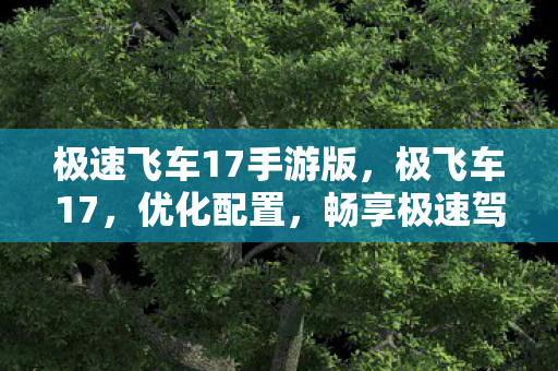 极速飞车17手游版，极飞车17，优化配置，畅享极速驾驶体验