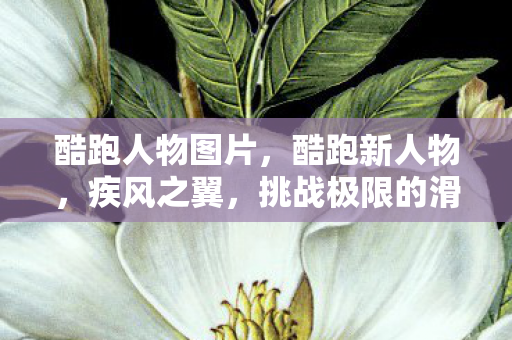 酷跑人物图片，酷跑新人物，疾风之翼，挑战极限的滑板少年