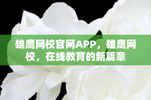 雄鹰网校官网APP，雄鹰网校，在线教育的新篇章