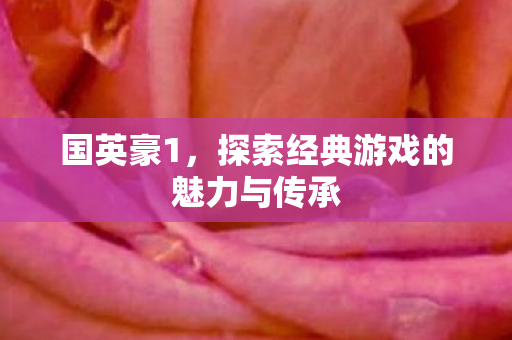 国英豪1,探索经典游戏的魅力与传承 国英豪1,探索经典游戏的魅力与传承